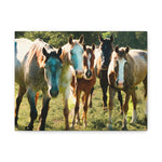 Load image into Gallery viewer, "The Gathering in the Sun" Canvas
