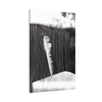 Load image into Gallery viewer, "Feather and Freedon" Canvas
