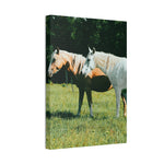 Load image into Gallery viewer, "A Shared Focus" Canvas
