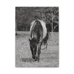 Load image into Gallery viewer, "Leah: The Quiet Watcher" Canvas
