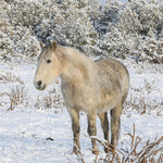 Load image into Gallery viewer, Storm of Sand Wash Basin
