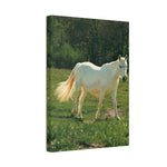 Load image into Gallery viewer, "A Ghost in the Golden Meadow" Canvas
