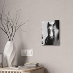 Load image into Gallery viewer, "Tristan: From Wild to Worth" Canvas
