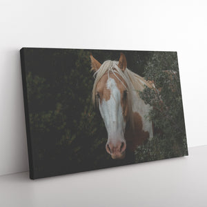 "Amongst the Trees" Canvas Wall Hanging