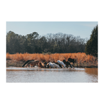 Load image into Gallery viewer, An_Afternoon_Drink_Poster_8x12_Flat_H_Mockup.png_15705257
