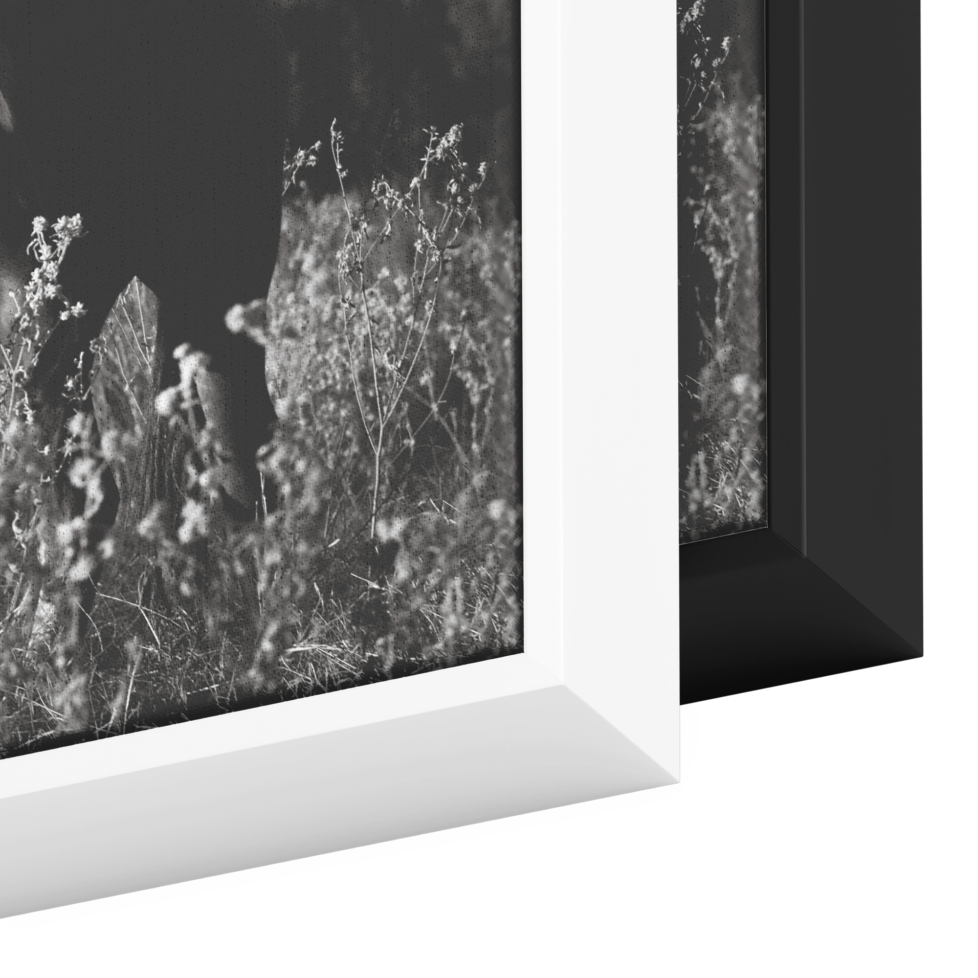 Bliss_Framed_Canvas_Framed_Canvas_Square_Color_Options_Mockup.png