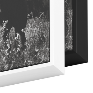 Bliss_Framed_Canvas_Framed_Canvas_Square_Color_Options_Mockup.png