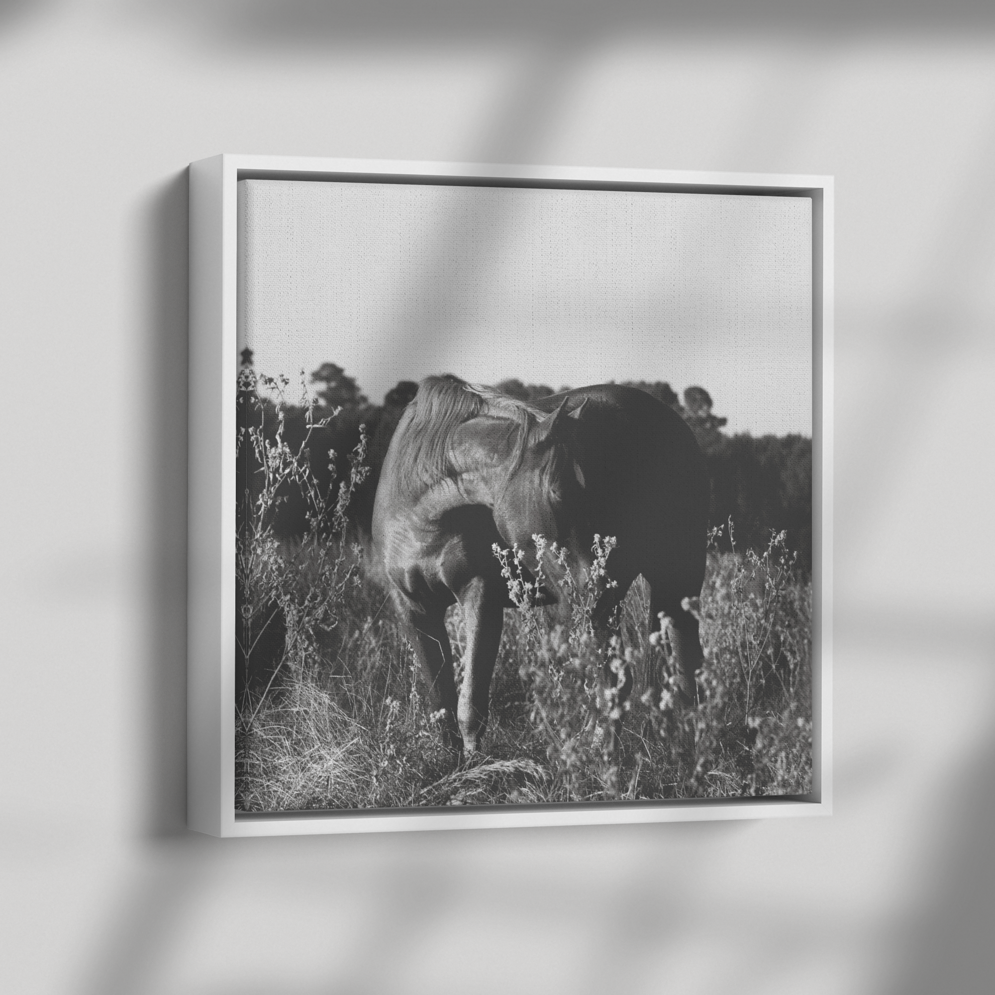 Bliss_Framed_Canvas_Framed_Canvas_Square_Dramatic_Shadow_Mockup.png