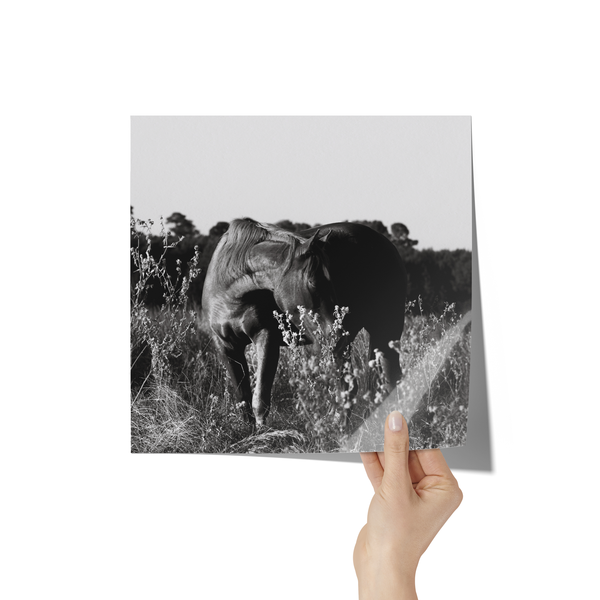 Bliss_Poster_12x12_Hand_Mockup.png