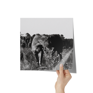 Bliss_Poster_12x12_Hand_Mockup.png