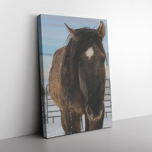 "Brave Bear" Canvas Wall Hanging