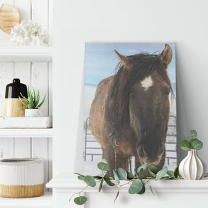 "Brave Bear" Canvas Wall Hanging