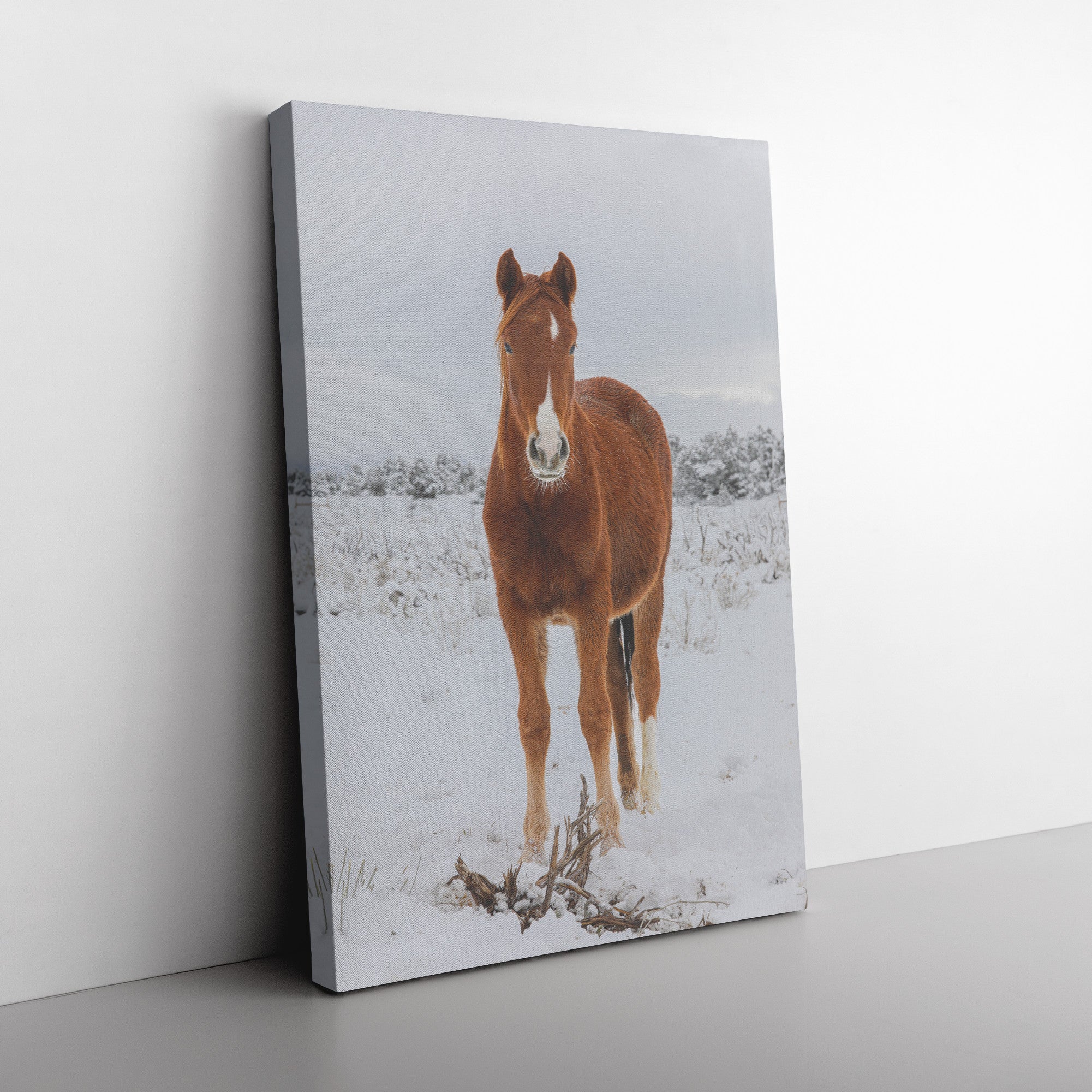 "Contrast" Canvas Wall Hanging