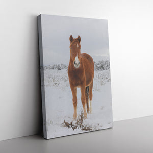 "Contrast" Canvas Wall Hanging