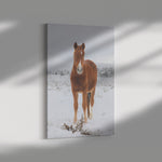 Load image into Gallery viewer, &quot;Contrast&quot; Canvas Wall Hanging
