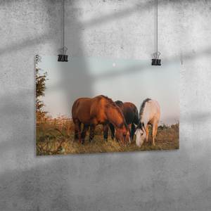 Cord_of_Three_Poster_12x18_Angle_H_Mockup.png