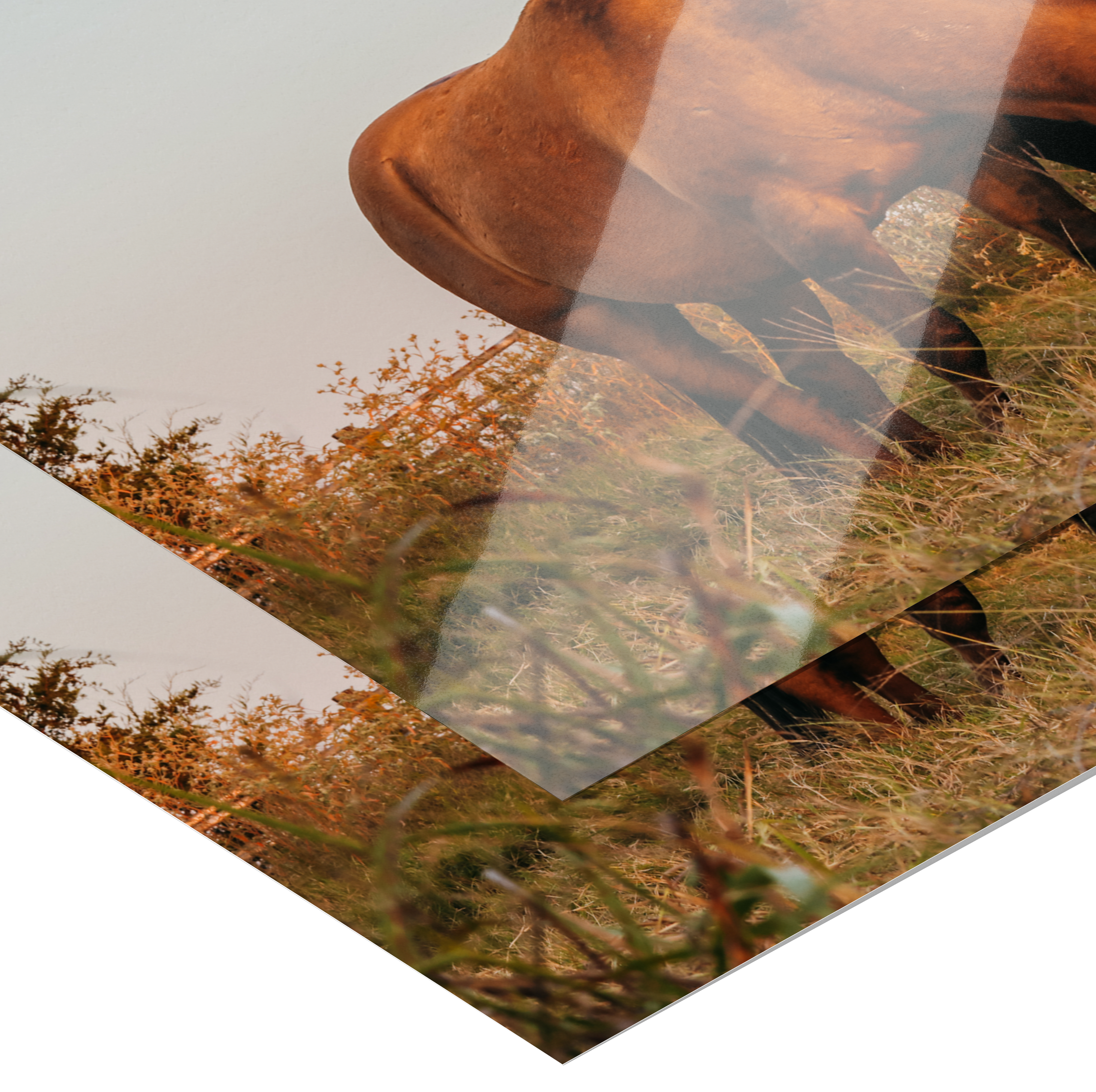 Cord_of_Three_Poster_20x30_Paper_H_Mockup.png