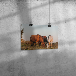Cord_of_Three_Poster_8x12_Angle_H_Mockup.png