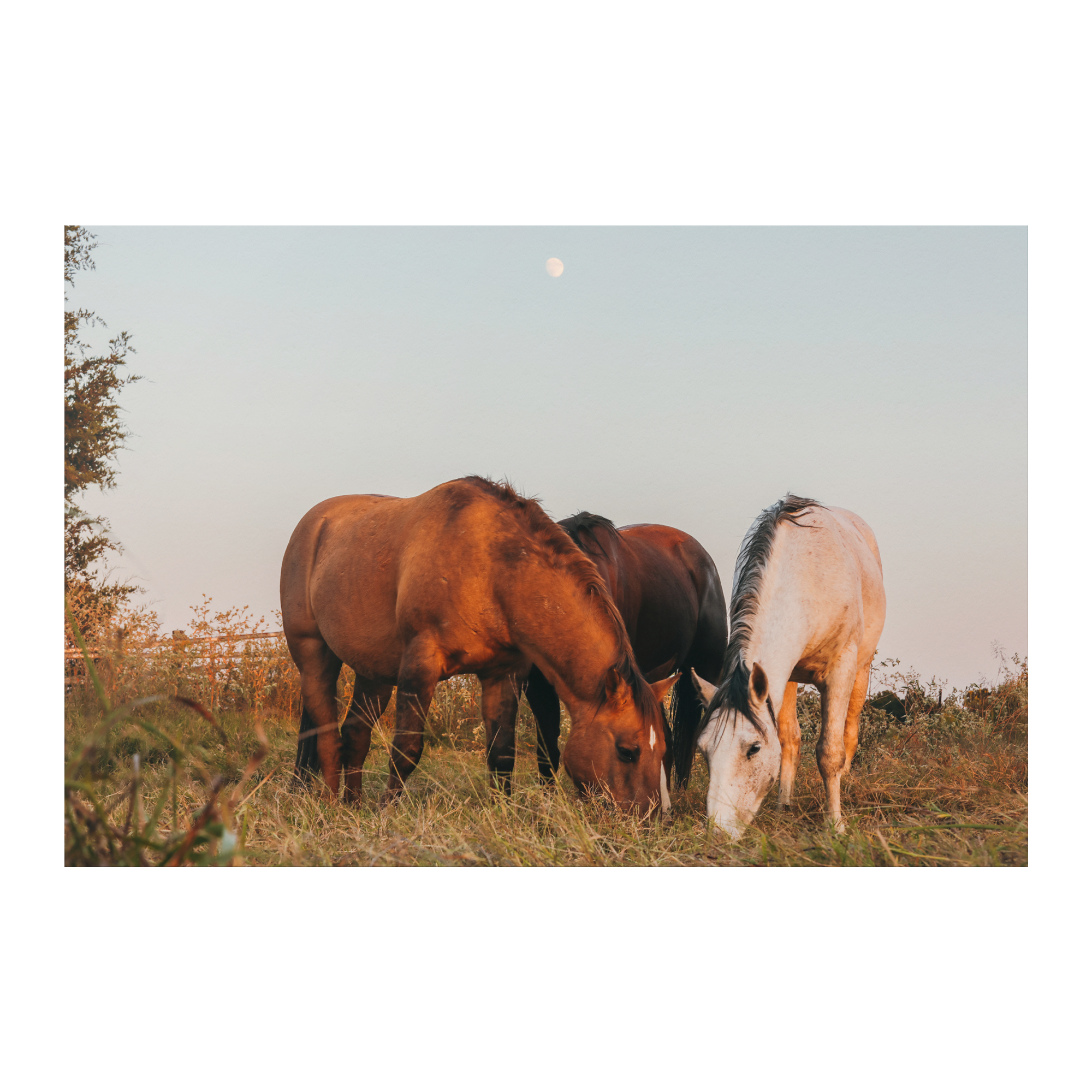 Cord_of_Three_Poster_8x12_Flat_H_Mockup.png