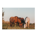 Load image into Gallery viewer, Cord_of_Three_Poster_8x12_Flat_H_Mockup.png
