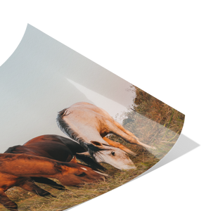 Cord_of_Three_Poster_8x12_Fold_H_Mockup.png