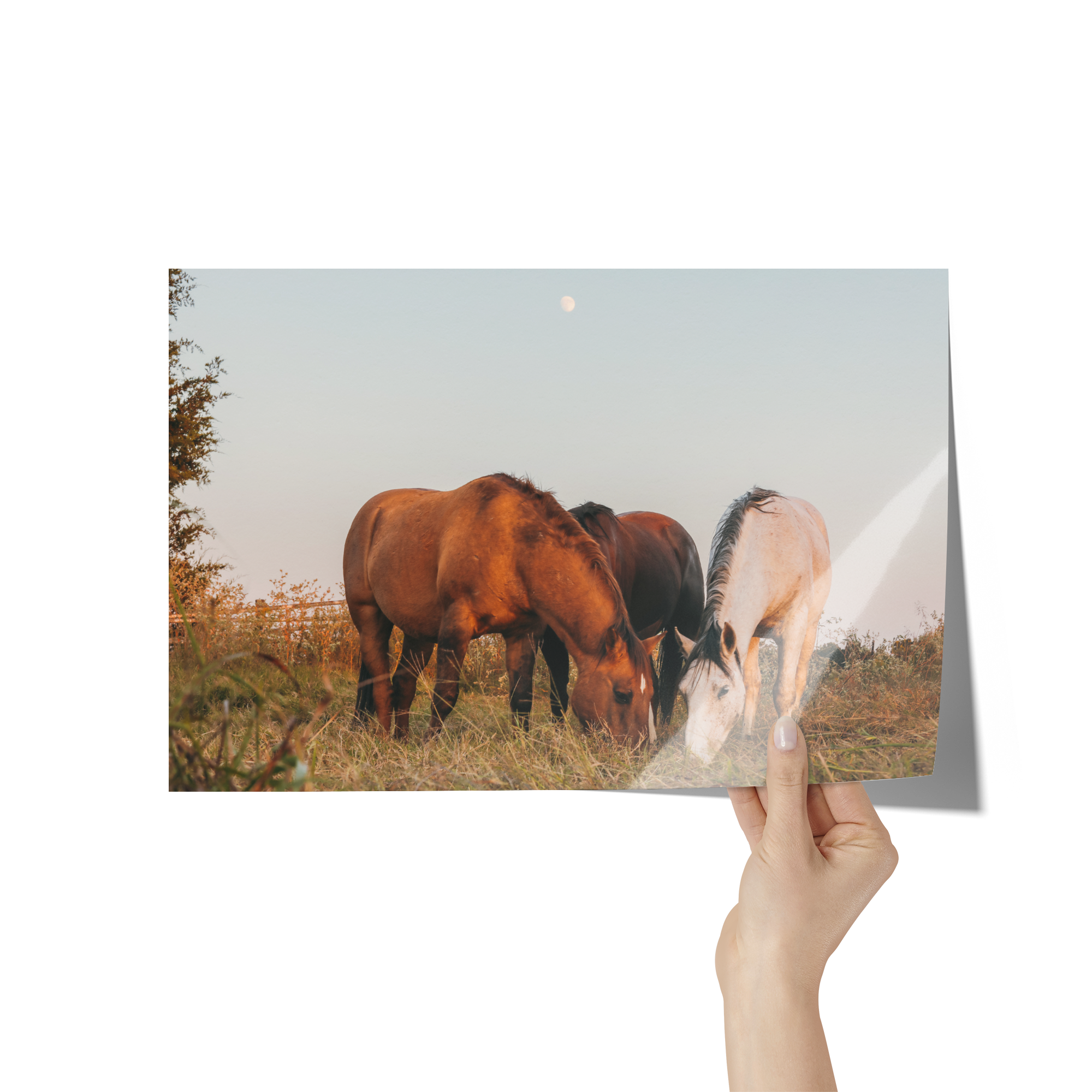 Cord_of_Three_Poster_8x12_Hand_H_Mockup.png