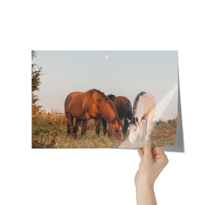 Cord_of_Three_Poster_8x12_Hand_H_Mockup.png