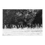 Load image into Gallery viewer, Echos_in_the_Field_Poster_8x12_Flat_H_Mockup.png_15703714
