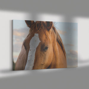"Eyes of Peace" Canvas Wall Hanging