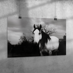 Load image into Gallery viewer, Forest_Shadow_Poster_24X36_Angle_H_Mockup.png_15703650
