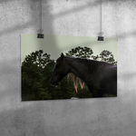 Load image into Gallery viewer, Golden_Mane_Poster_20x30_Angle_H_Mockup.png_15703515
