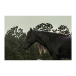 Load image into Gallery viewer, Golden_Mane_Poster_20x30_Flat_H_Mockup.png_15703516
