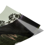 Load image into Gallery viewer, Golden_Mane_Poster_20x30_Fold_H_Mockup.png_15703517
