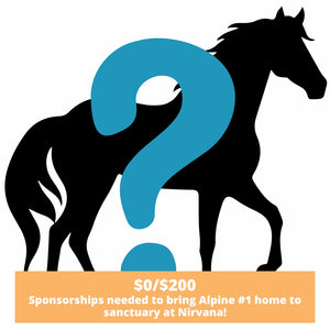 MONTHLY SPONSORSHIP of Alpine #1