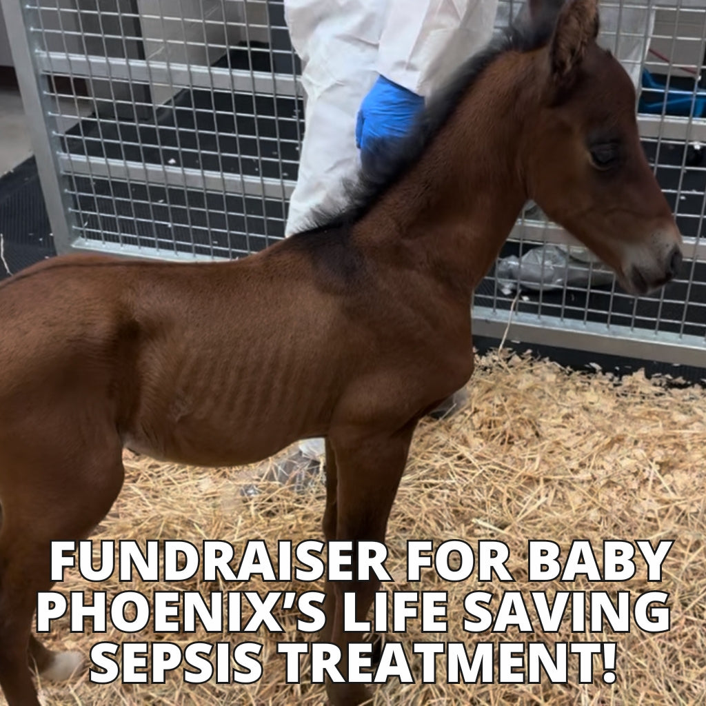 $3,464 out of $6,500 Raised for Baby Phoenix's Sepsis Treatment