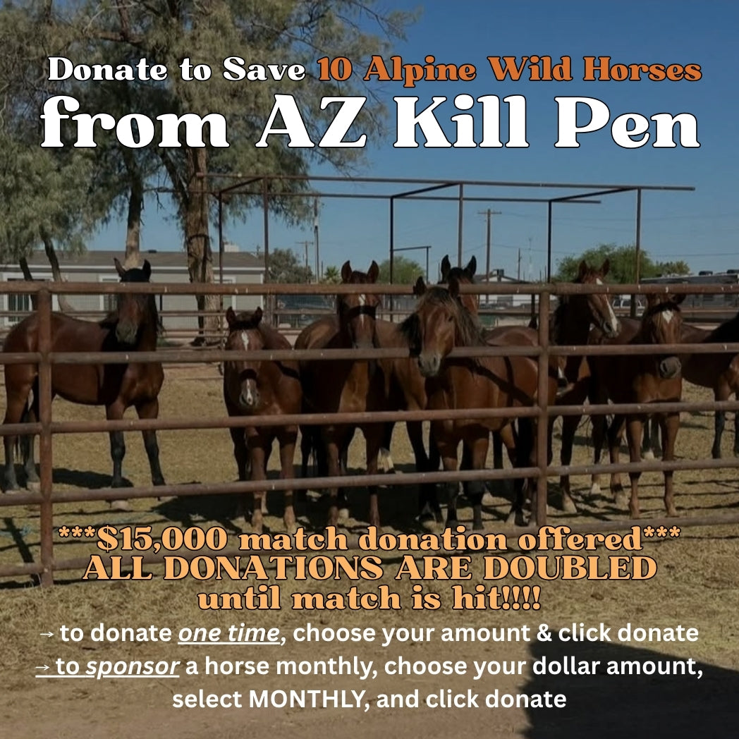 $27,955 in One-Time Donations and $1,980 in Monthly Sponsorships Left to Raise to Save 10 Alpine Wild Horses from Kill Pen!!!!