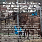 Load image into Gallery viewer, $1,600 in MONTHLY SPONSORSHIPS still needed to save 10 Mustangs from Kill Buyers at 9/07 Bowie Auction!!
