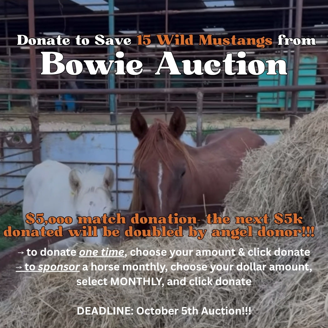 $66,220 in one-time donations and $3,000 in MONTHLY SPONSORSHIPS still needed to save 15 Mustangs from Kill Buyers at 10/05 Bowie Auction!!