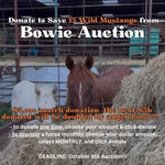 Load image into Gallery viewer, $66,220 in one-time donations and $3,000 in MONTHLY SPONSORSHIPS still needed to save 15 Mustangs from Kill Buyers at 10/05 Bowie Auction!!
