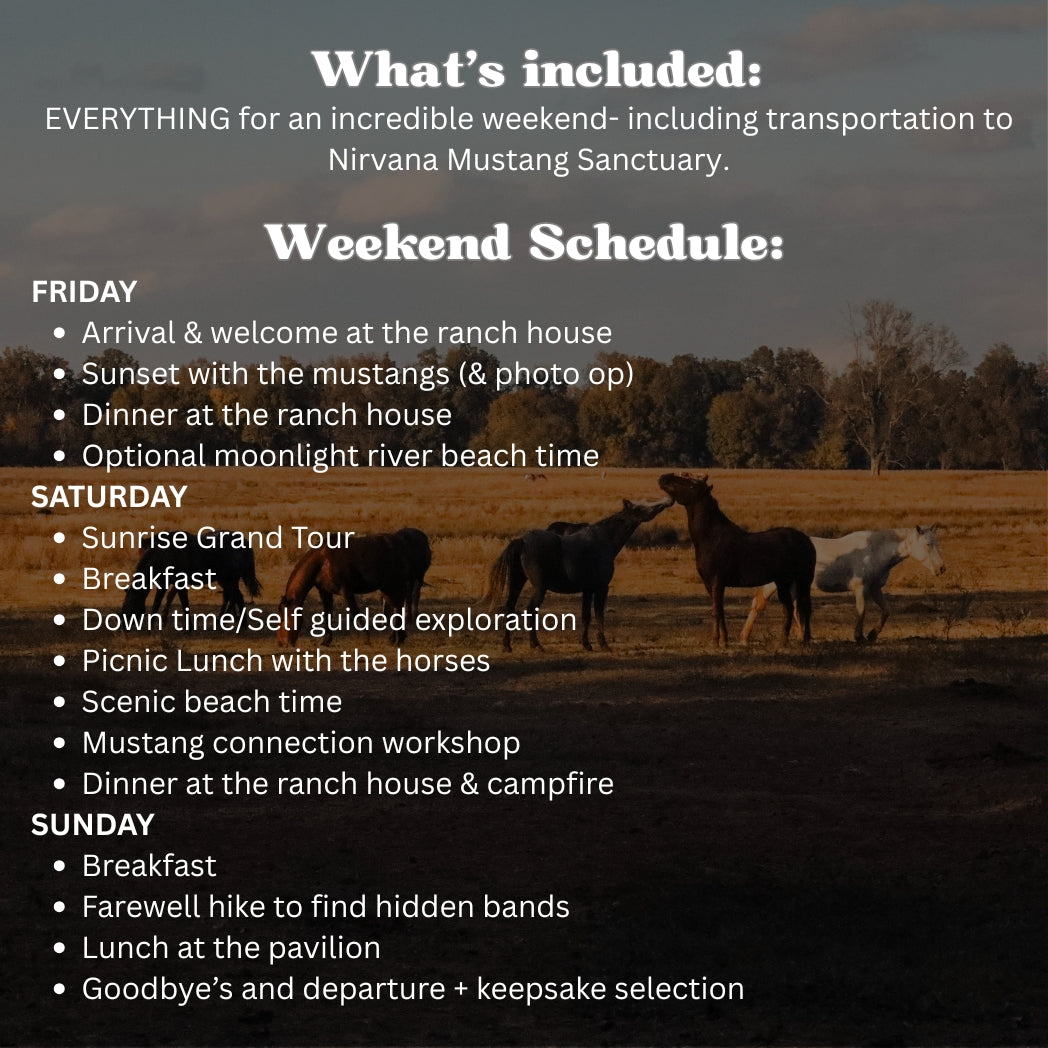 Wild Horse Weekend Retreat Raffle: 3 out of 200 tickets sold