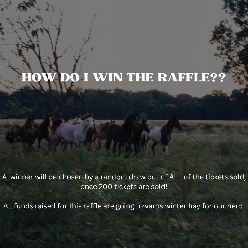 Wild Horse Weekend Retreat Raffle: 3 out of 200 tickets sold
