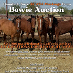 Load image into Gallery viewer, $15,598 left to complete rescue mission of 28 Mustangs from April Bowie Auction!
