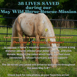 Load image into Gallery viewer, Want to stay connected with one of these lucky horses?!
