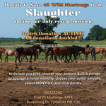 Load image into Gallery viewer, $50,080 left to raise to rescue 40 Mustangs from Kill Pens During July Rescue Mission
