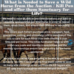 Load image into Gallery viewer, $42,831 left to raise to rescue 15 Mustangs from Slaughter Pipeline Kill Pens During Border Shutdown
