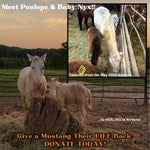 Load image into Gallery viewer, $3,100 in MONTHLY SPONSORSHIPS still needed to save 16 Mustangs from Kill Buyers at Auction!

