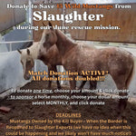 Load image into Gallery viewer, $42,831 left to raise to rescue 15 Mustangs from Slaughter Pipeline Kill Pens During Border Shutdown
