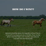 Load image into Gallery viewer, Enter to WIN a Wild Horse Weekend Retreat!!!
