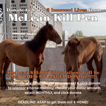 Load image into Gallery viewer, $745 in Monthly Sponsorships Left to Raise to Save 5 Kill Pen Mustangs!!!!
