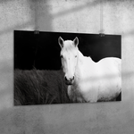 Load image into Gallery viewer, Name_10_Poster_24X36_Angle_H_Mockup.png_15705315
